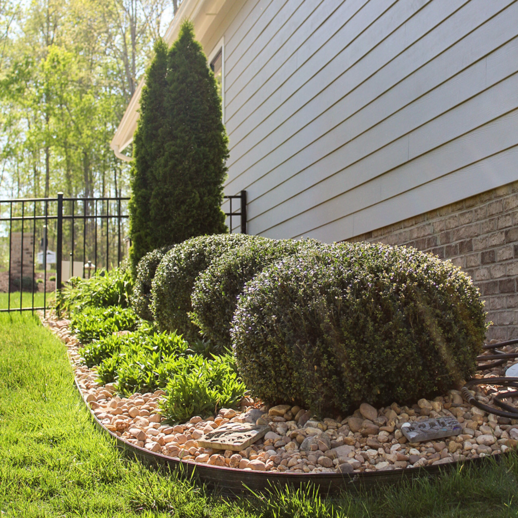 landscape in garden bed