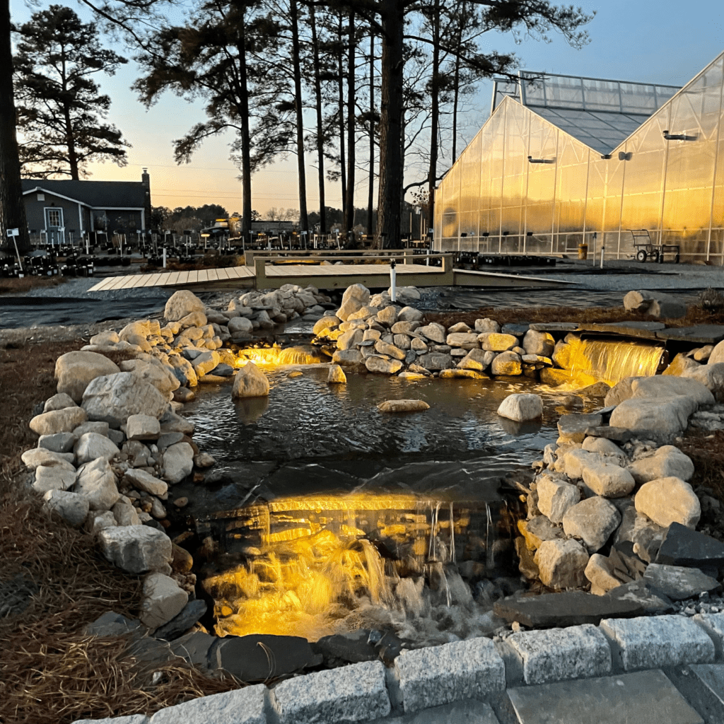 pond with rocks and fountain