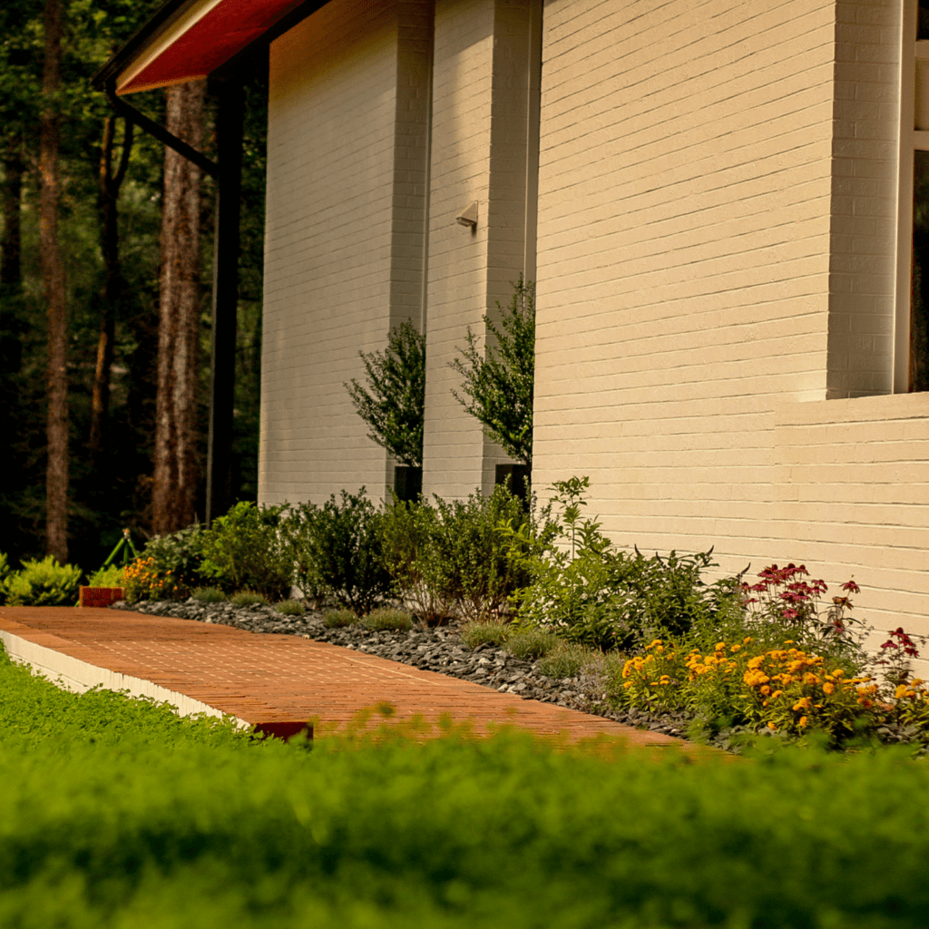 Clover lawn and wildflower landscaping