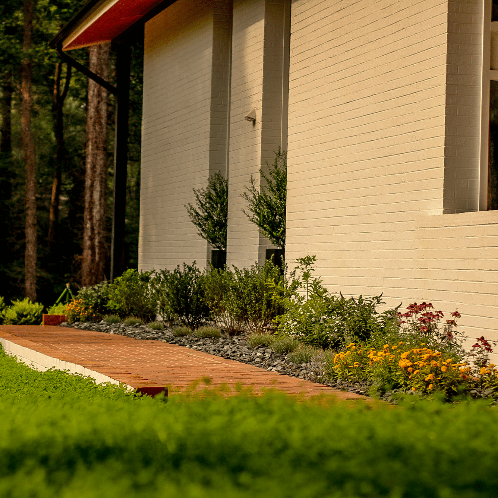 Clover lawn and wildflower landscaping