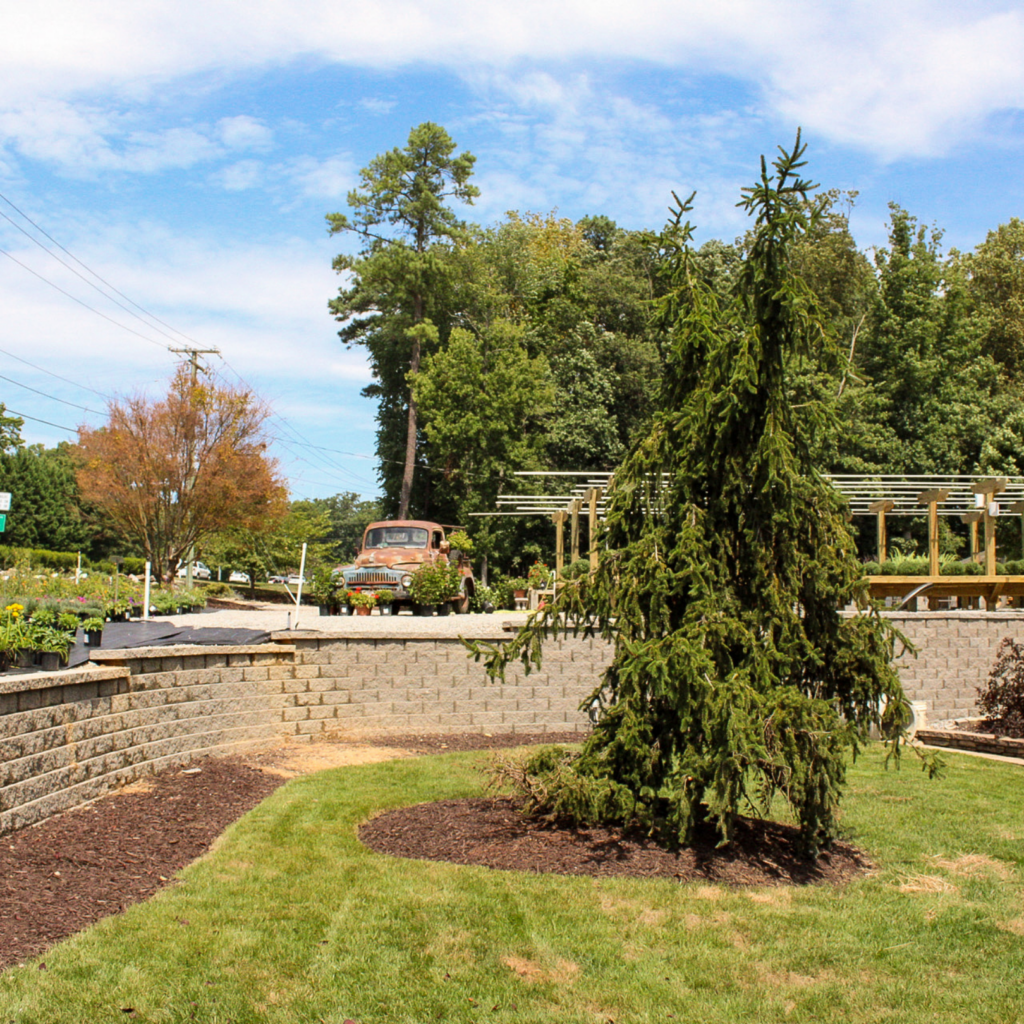 large retaining wall