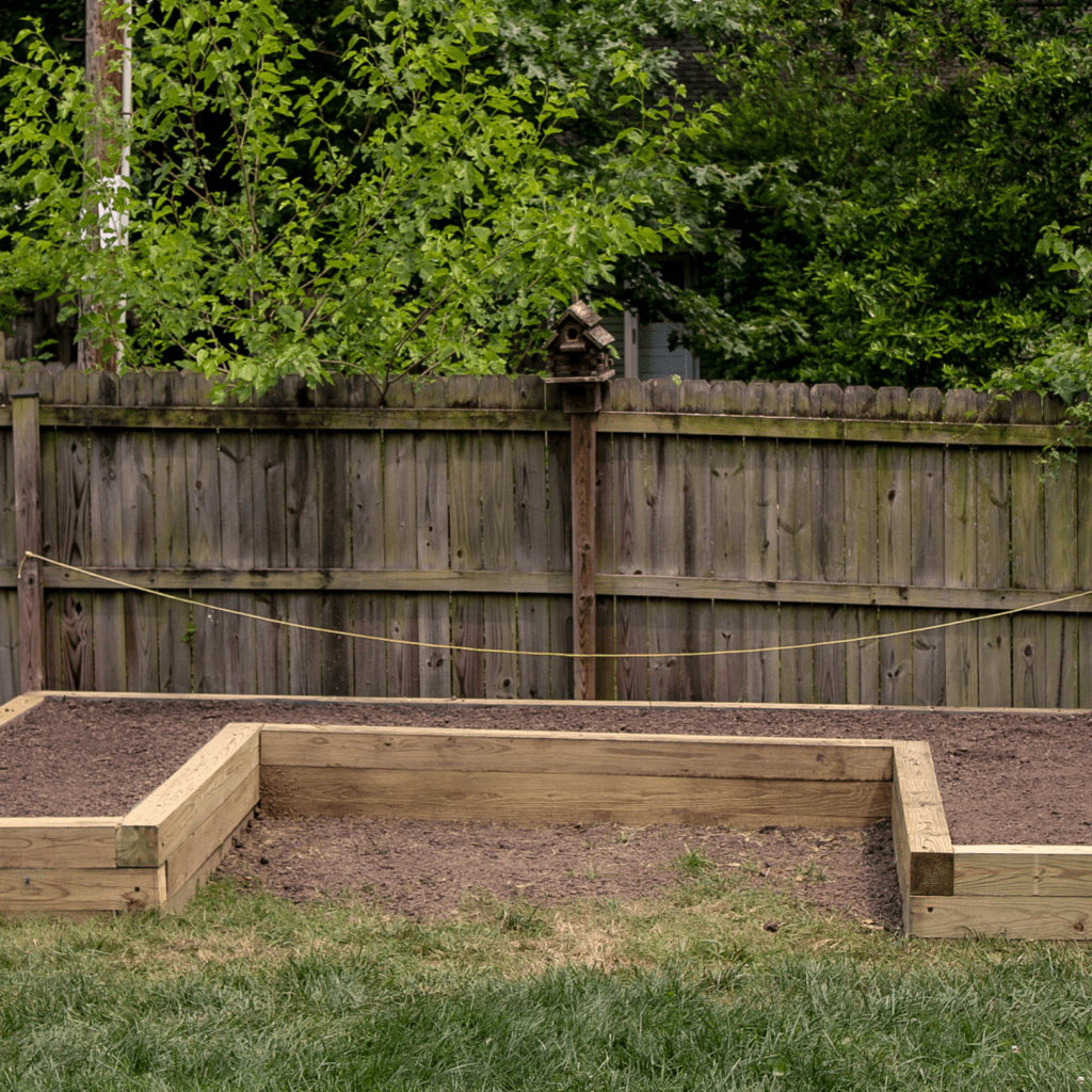 raised garden beds