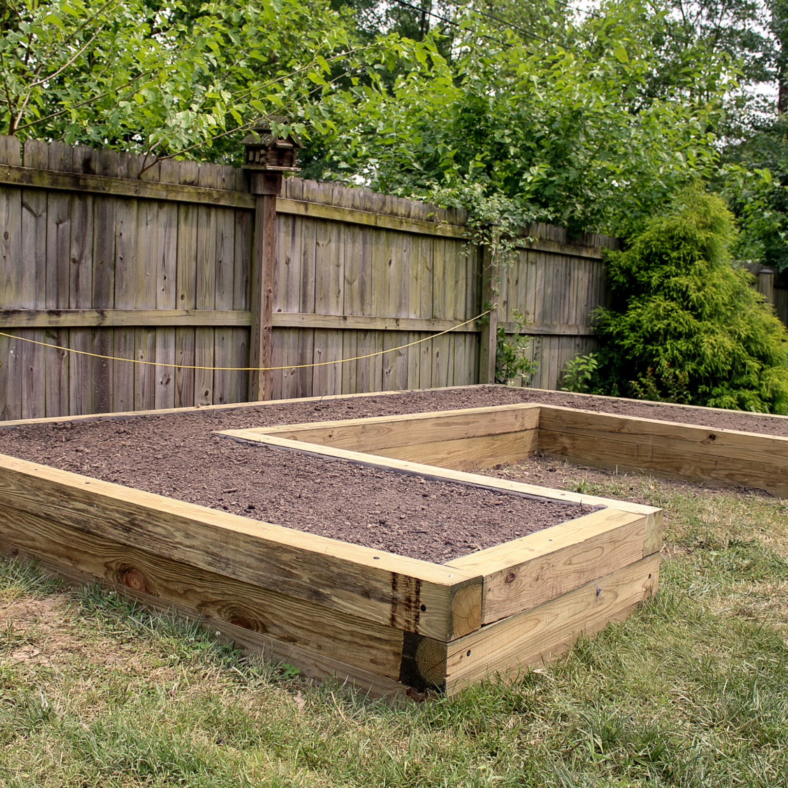 raised garden beds