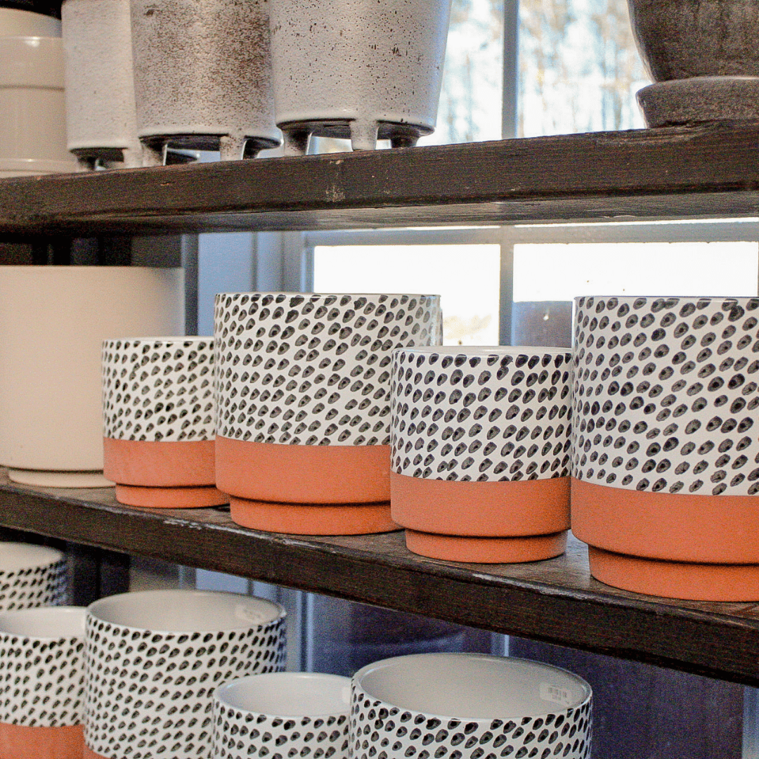 Indoor Plant Pottery