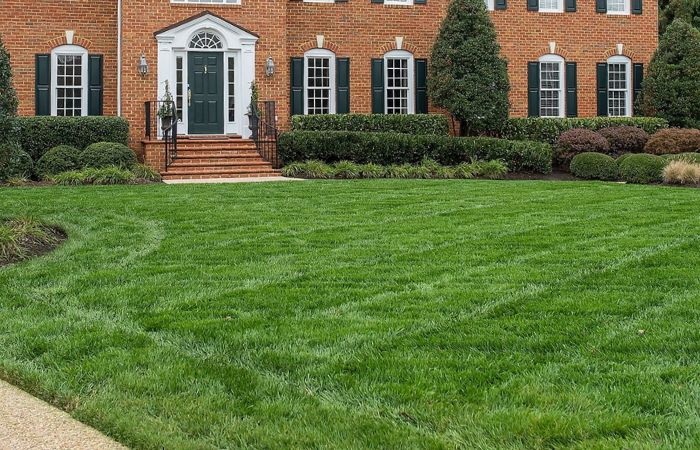 cross-creek-nursery-grounds-maintenance-full-service-program-feature-image Cross Creek Nursery Full Service Program home well-maintained yard