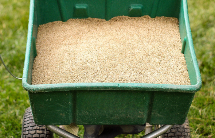 cross-creek-nursery-grounds-maintenance-turf-care-program-feature-image Cross Creek Nursery Turf Care program seeds in a grass seeding tray