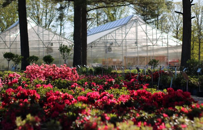 West End Garden Center • Cross Creek Nursery and Landscape