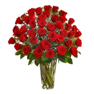 Extravagant Romance - 4 Dozen Roses