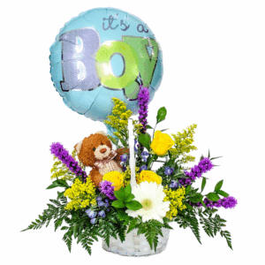 It's a Boy!