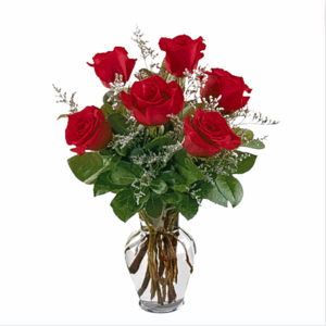 Half Dozen Roses
