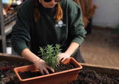 Cross Creek employee potting a plant.