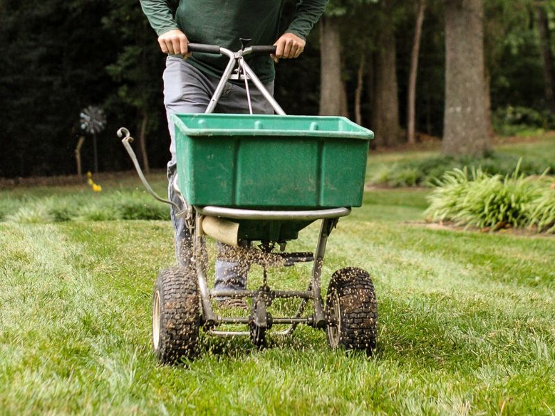 grounds-management-seeding-lawn-grass-aeration Cross Creek Nursery grounds management seeding lawn grass