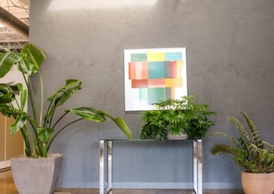 potted birds of paradise plants in office space