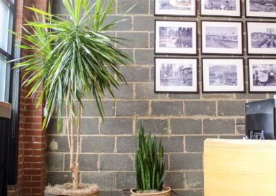 office with indoor plants