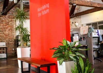 potted plants in office space with red wall