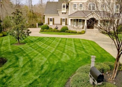 residential lawn