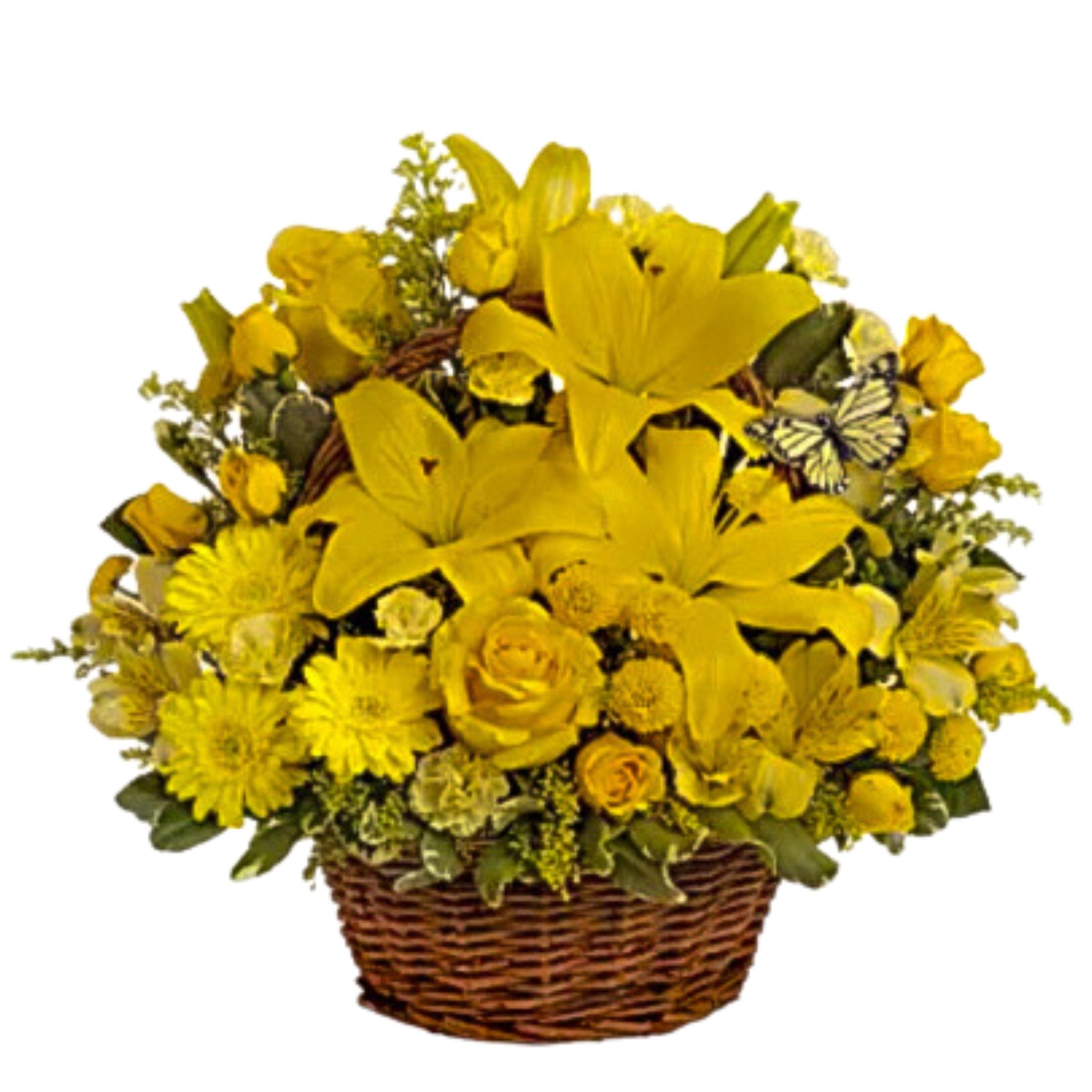 Basket Full Of Wishes