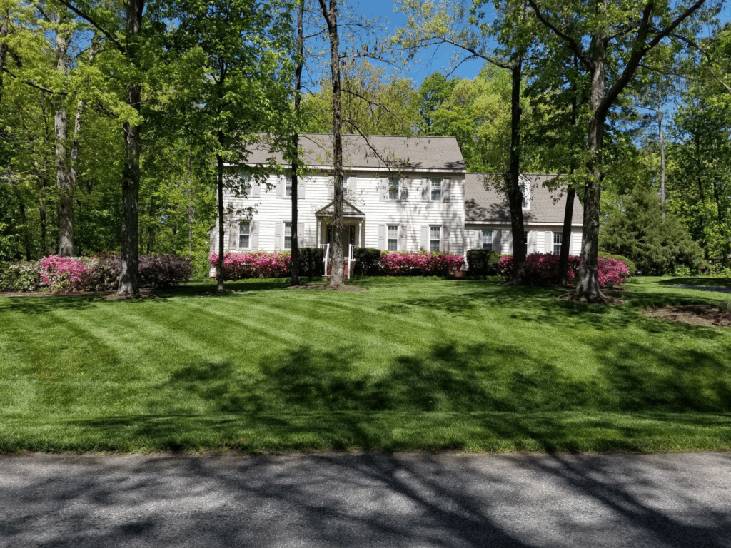 Green, manicured lawn, maintained by Cross Creek Landscape and Maintenance