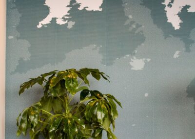 Close-up of healthy indoor foliage plants used in office interiorscapes.