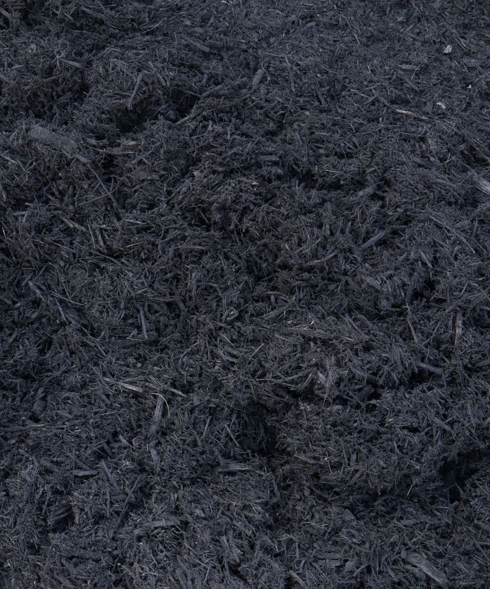Black Mulch
