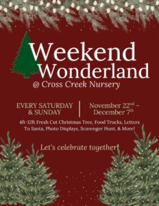 Weekend Wonderland Flyer