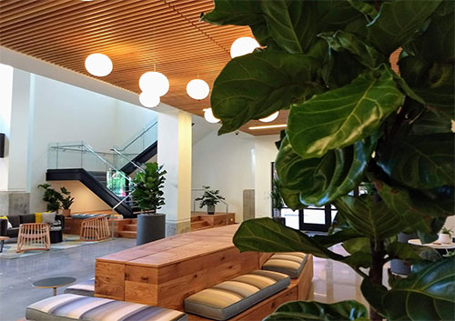 Interiorscapes for office common area.