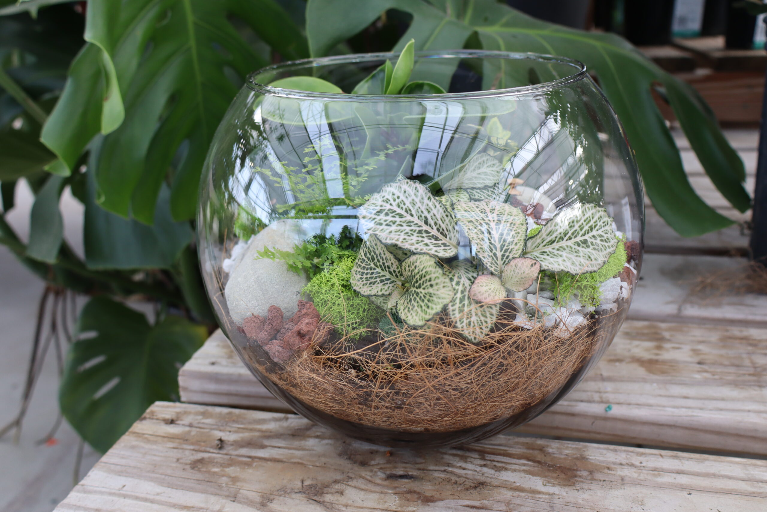 Terrarium Workshop