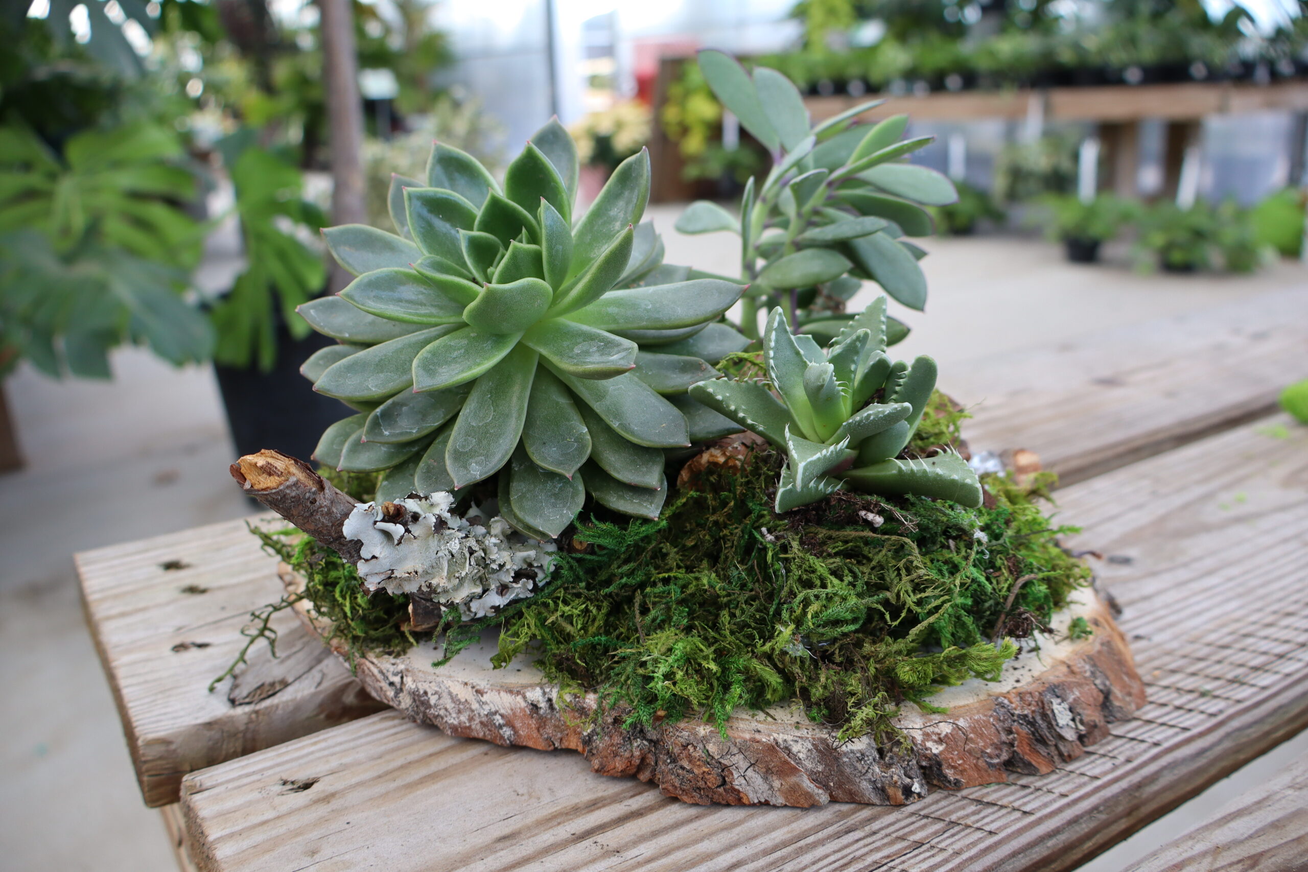 Woodland Arrangement Workshop