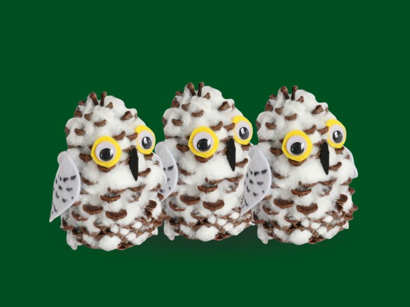 Snowy Pinecone Owls Workshop Craft