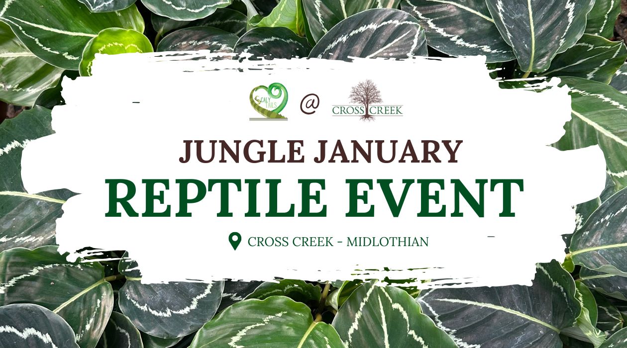 Jungle January Reptile Event Midlothian