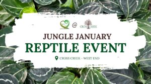 Reptile Event Jungle January at Cross Creek West End