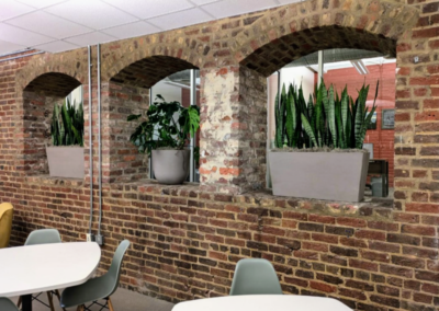 Interior plants inside of office