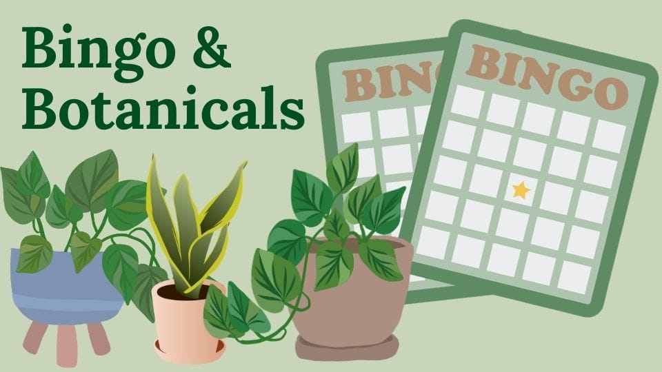 Plant Bingo Header