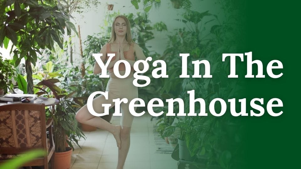 Yoga in the greenhouse at Cross Creek West End